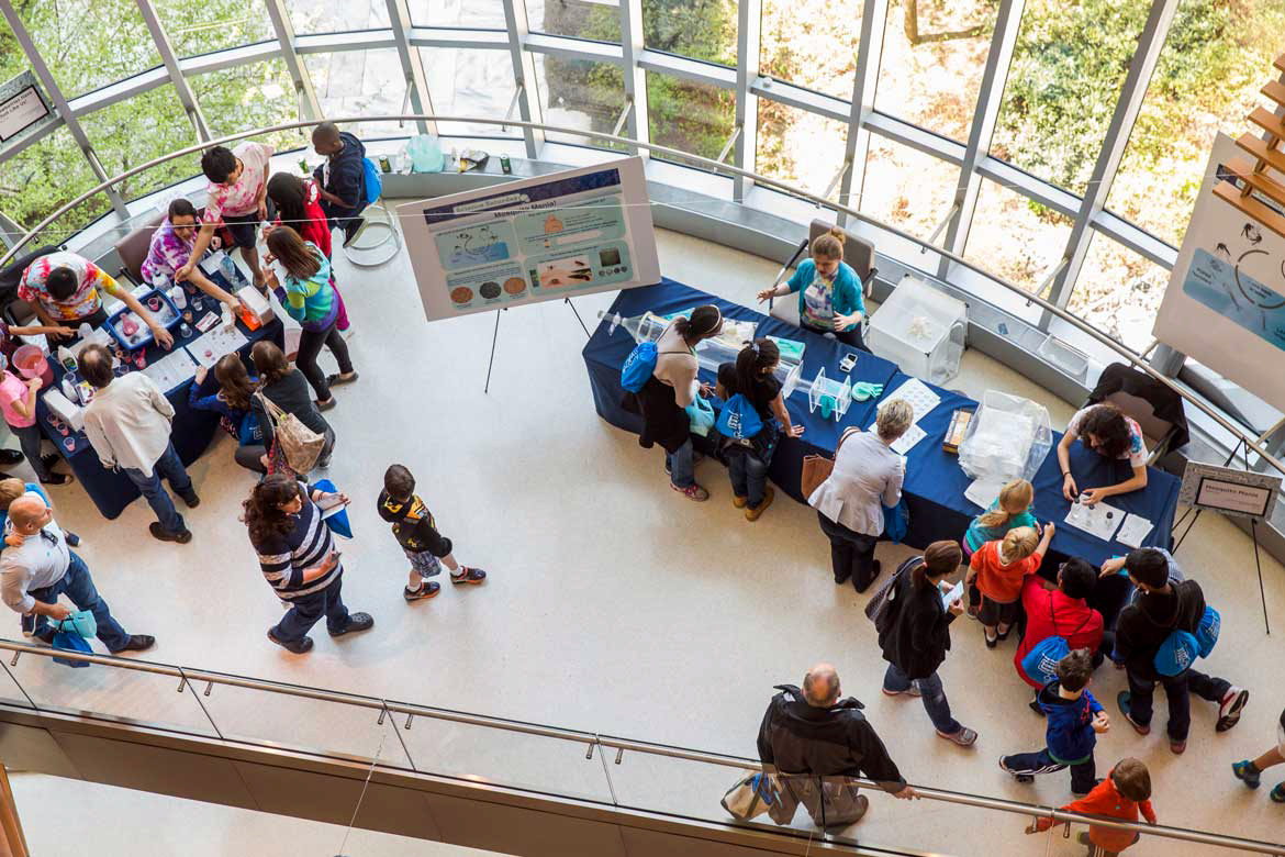 Science Saturday event in the Collaborative Research Center (CRC), the Rockefeller University
